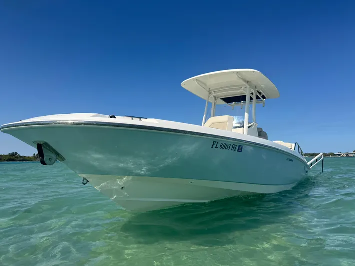  Yacht Photos Pics 2020 Boston Whaler 270 Dauntless boat on clear blue water under a sunny sky.