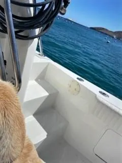 Dos Anzuelos Yacht Photos Pics Steps to Access Bow