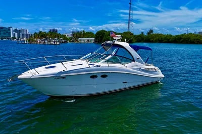 Sea Ray 290 Sundancer