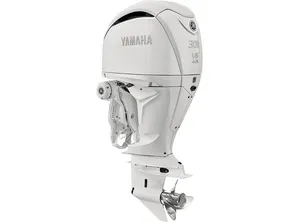 2024 Yamaha F300 NSB