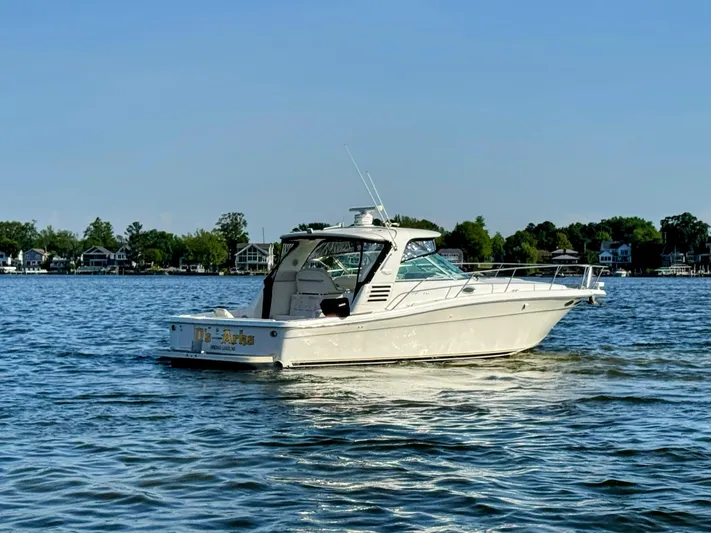 Os Arks Yacht Photos Pics 