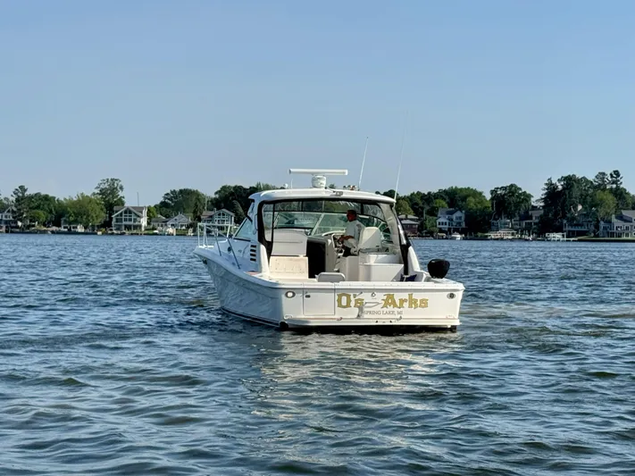 Os Arks Yacht Photos Pics 