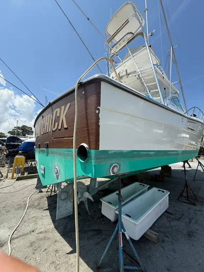 Side Chick Yacht Photos Pics 