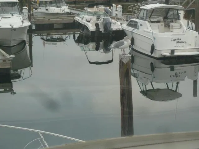 Reelax'n Yacht Photos Pics 