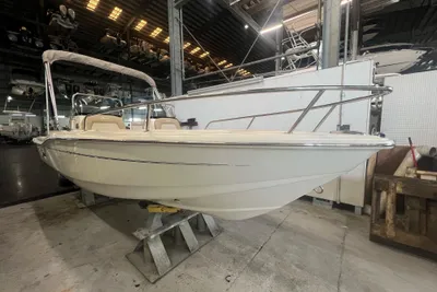 Scout 175 Sport Dorado