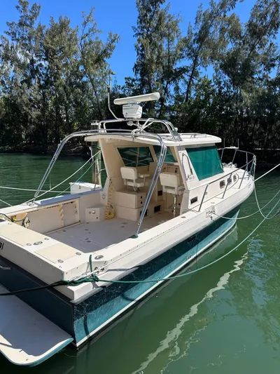  Yacht Photos Pics 2006 Albin 28 Tournament Express boat docked on calm water, surrounded by trees.