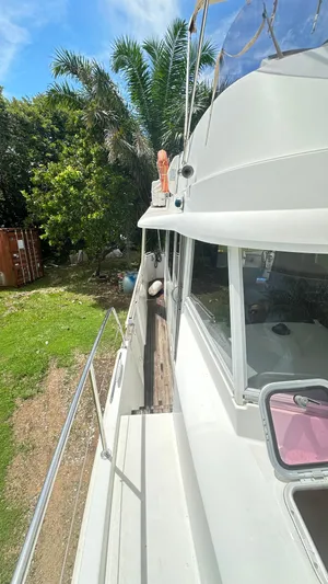  Yacht Photos Pics 2009 Beneteau Swift Trawler 34 docked, surrounded by lush greenery and palm trees.