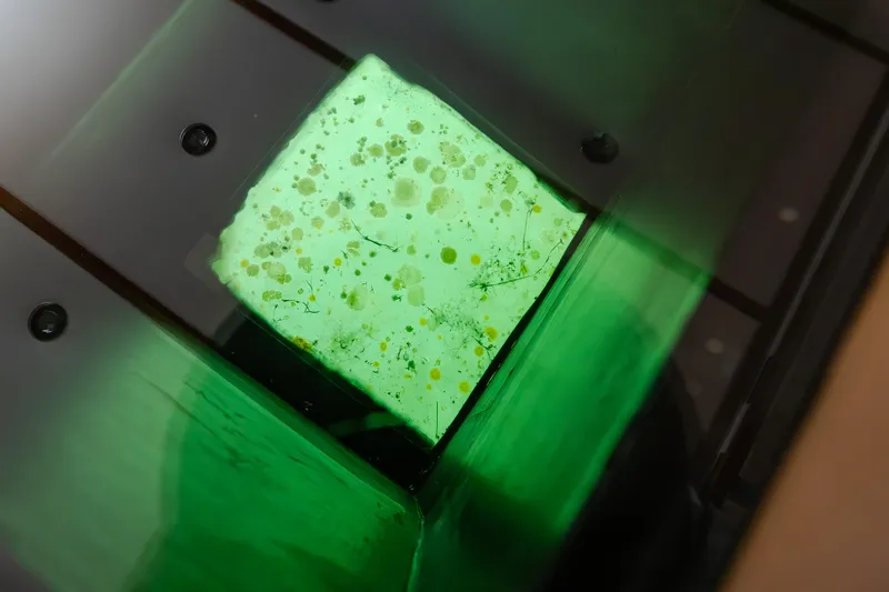  Yacht Photos Pics Green-tinted glass with moldy surface, Willard 1201 model, 1974.