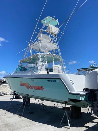 Sun Scream Yacht Photos Pics 