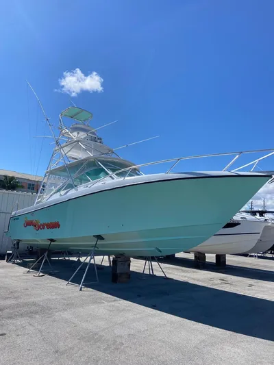 Sun Scream Yacht Photos Pics 