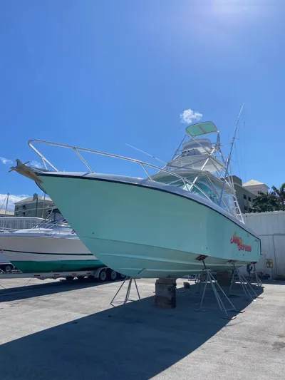 Sun Scream Yacht Photos Pics 
