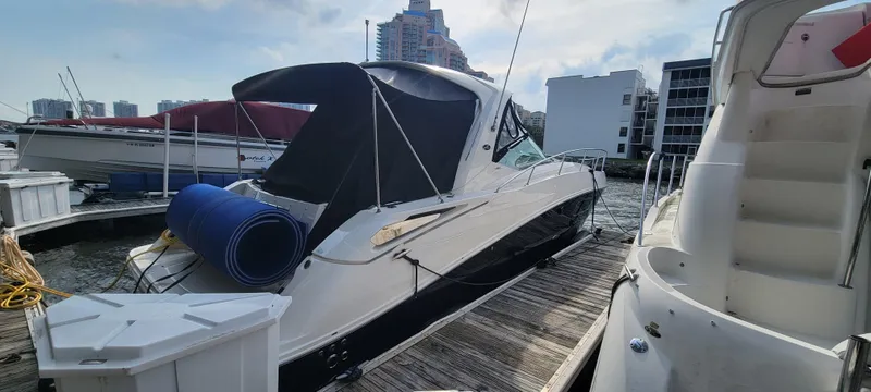 Yacht Photos Pics 2008 Sea Ray 350 Sundancer docked at marina with cityscape background.