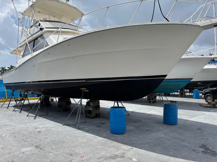 Lady Suso Yacht Photos Pics 