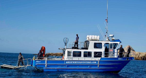 2008 Armstrong Marine Catamaran