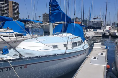 Newport Sail