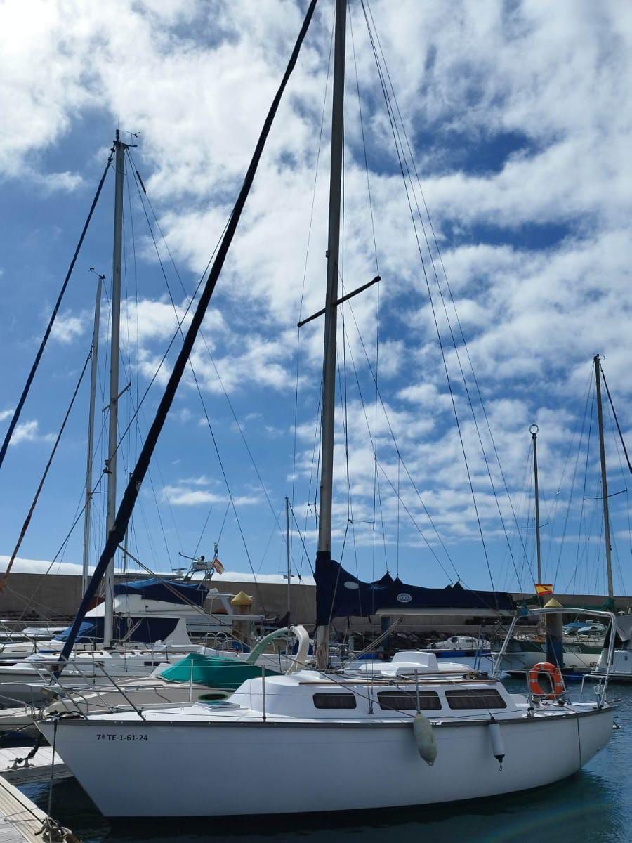 1981 Taylor Somo D28