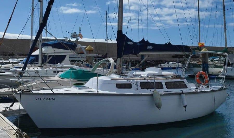 1981 Taylor Somo D28