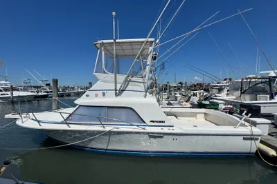 Phoenix 29 Convertible
