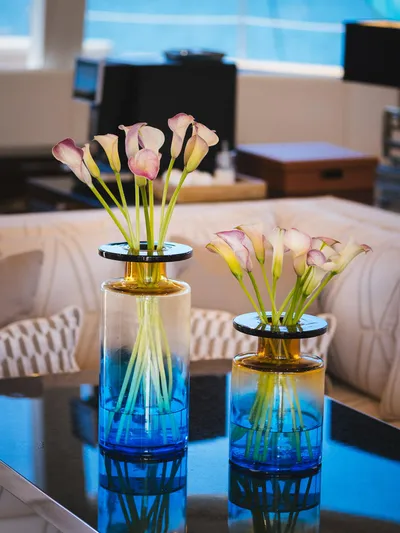 Dessus Yacht Photos Pics 