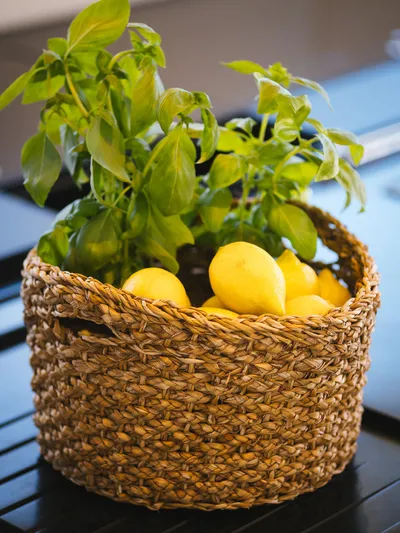 Dessus Yacht Photos Pics 