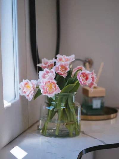 Dessus Yacht Photos Pics 