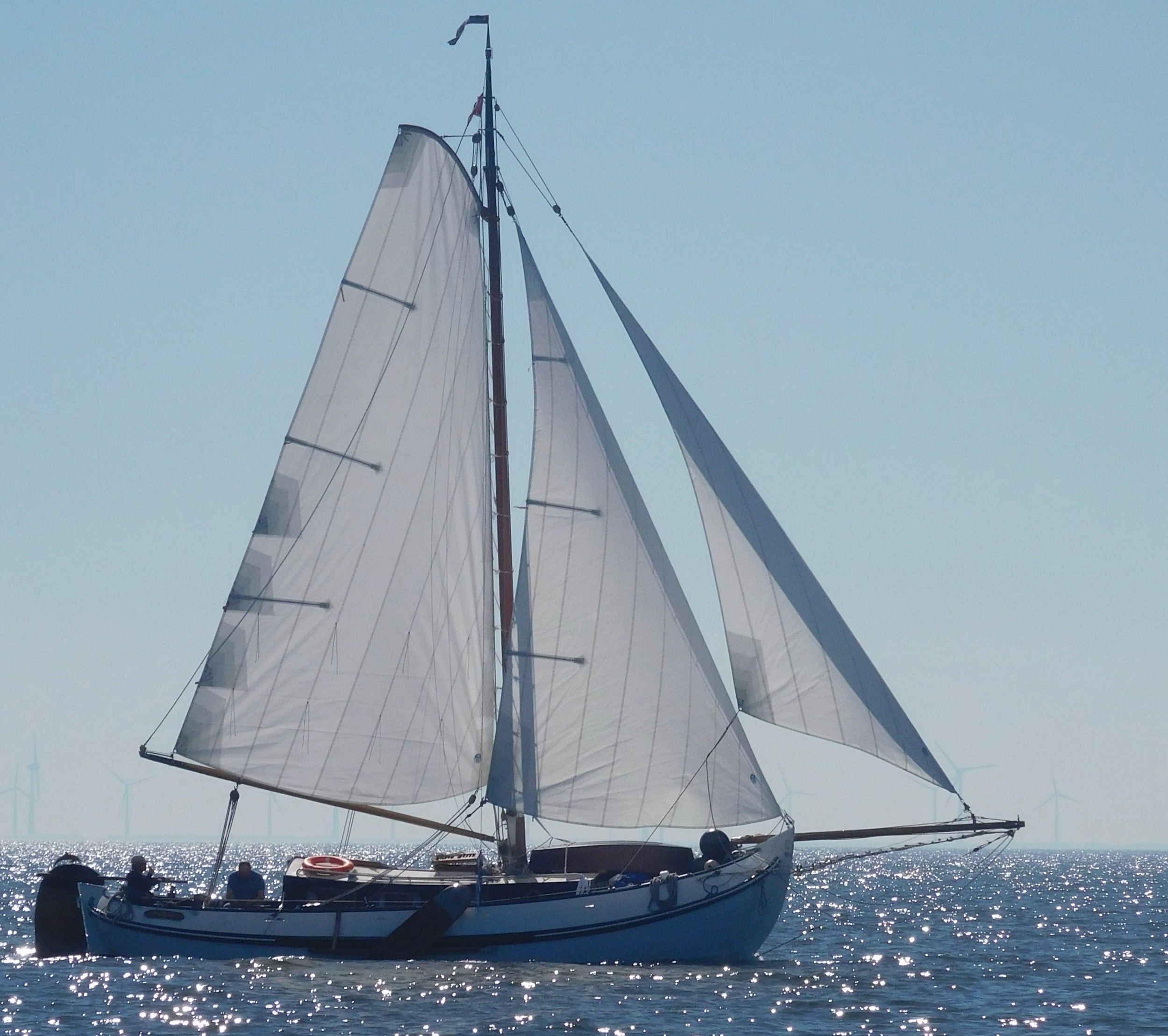 1990 Lemsteraak Roefmodel Dolfijn Blom 1010