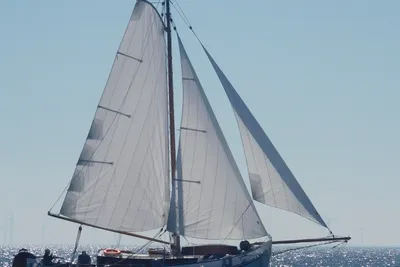 1990 Lemsteraak Roefmodel Dolfijn Blom 1010