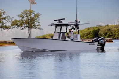 Custom Orion 29CC