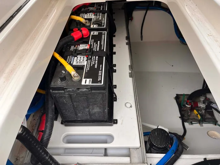 Heads Carolina Yacht Photos Pics 