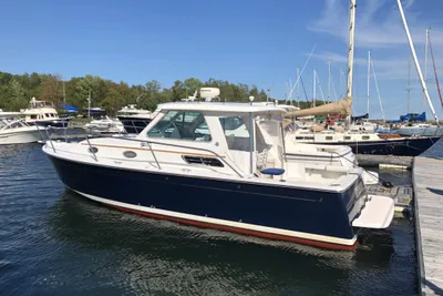 Back Cove 29