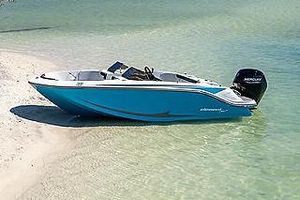 2024 Bayliner Element M17