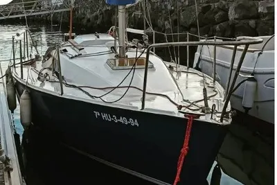 1980 Taylor SOMO S23