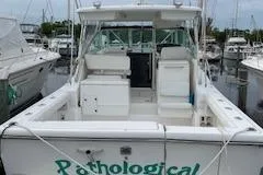 Pathological Yacht Photos Pics Pursuit 3400 Express 2000 docked, rear view.