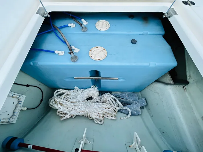 Showtime Yacht Photos Pics 