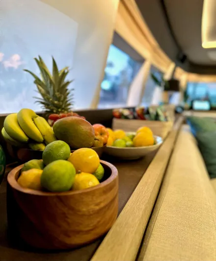 Twin Flame Yacht Photos Pics Luxurious Lagoon Seventy 7 interior with fresh fruit bowls, 2020 model.