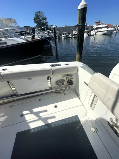 Sea Lion Yacht Photos Pics 