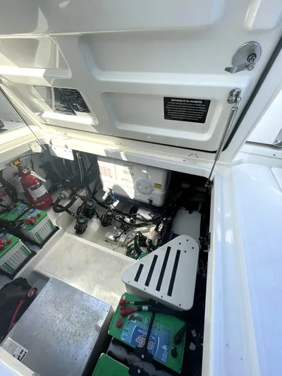 Sea Lion Yacht Photos Pics 