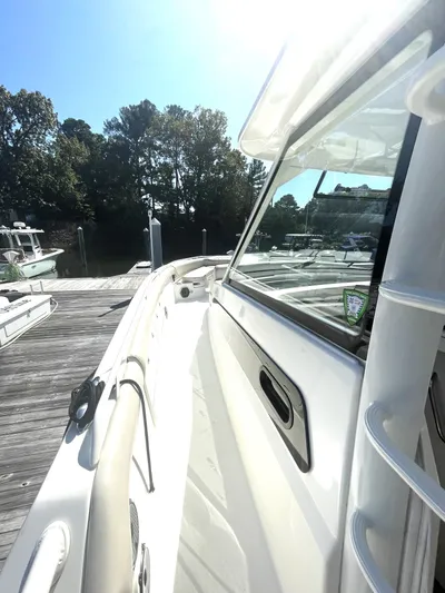 Sea Lion Yacht Photos Pics 