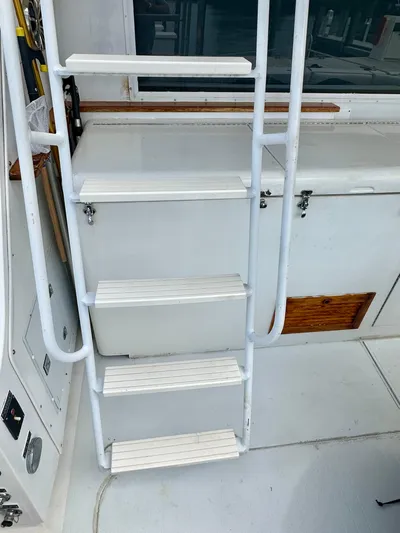 Farbrengen Yacht Photos Pics Ladder to Bridge