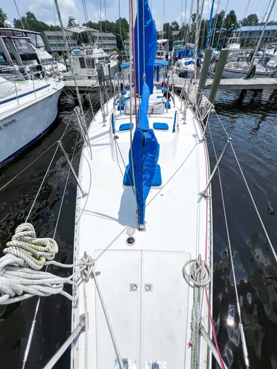 Della Therese Yacht Photos Pics 1986 Tayana Vancouver 42 sailboat docked, featuring blue sail covers and a clean white deck.