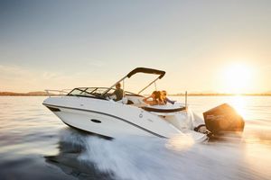 2022 Sea Ray Sun Sport 230