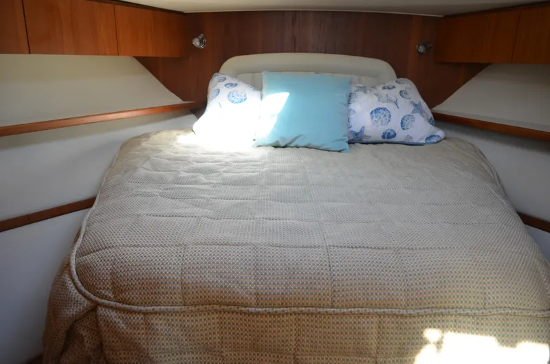 Steady Eddy Yacht Photos Pics 