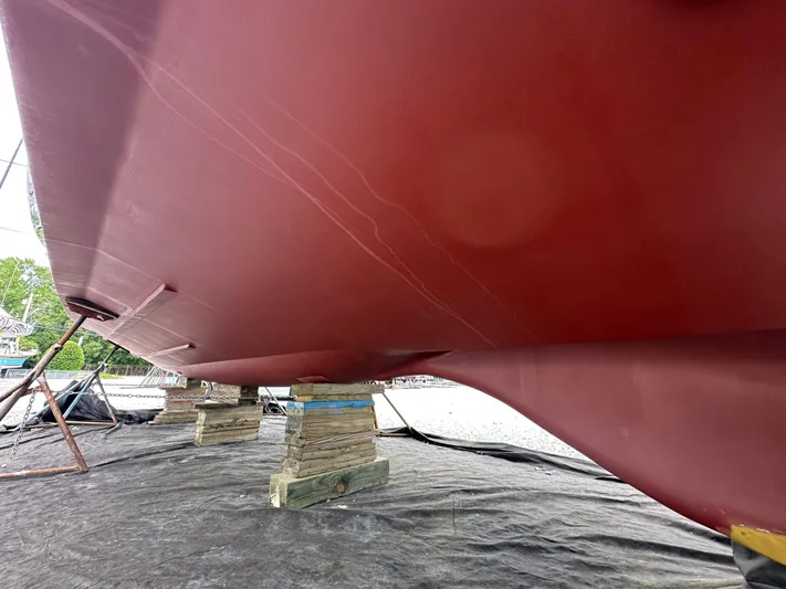 Surprise Yacht Photos Pics 