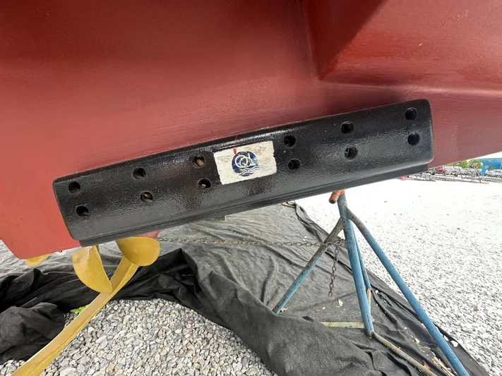 Surprise Yacht Photos Pics 