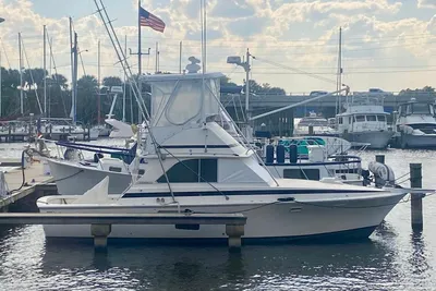 Bertram 35 Convertible