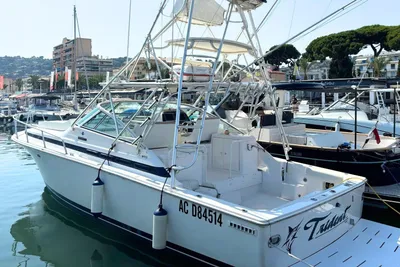 2000 Bertram 36 Moppie