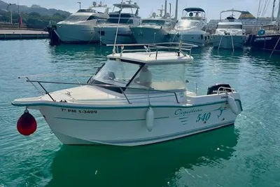 2006 Ocqueteau 540