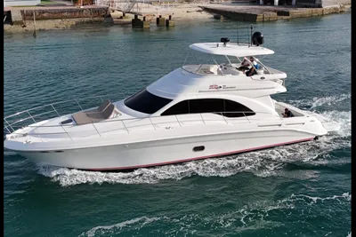 Sea Ray Fly