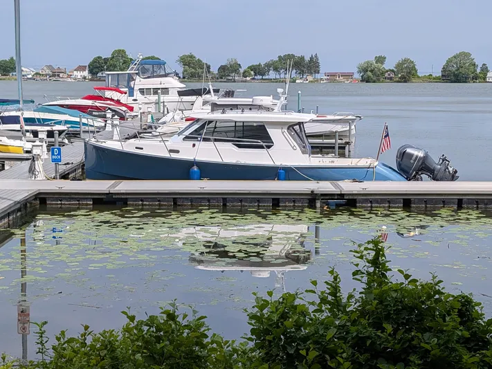  Yacht Photos Pics 2018 True North 34OE boat docked at marina, surrounded by water lilies and scenic background.