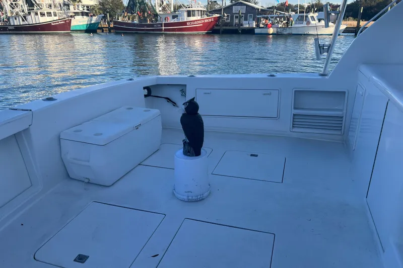 Our Trade II Yacht Photos Pics 1996 Ocean Yachts 48 Super Sport boat deck with harbor view.